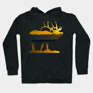 Caribou Glacier NP Hoodie